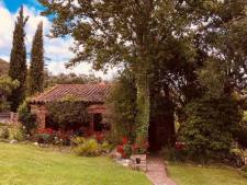Casa Buho