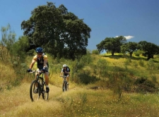 Fietsroutes in de omgeving