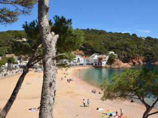 De baai De baai