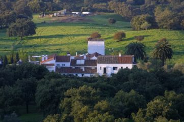 De Cortijo
