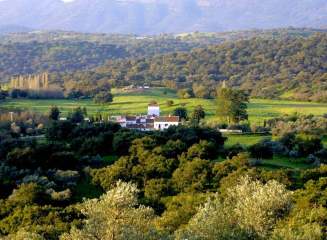 De Cortijo