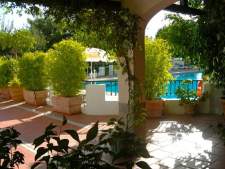 Terras
