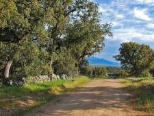 omgeving