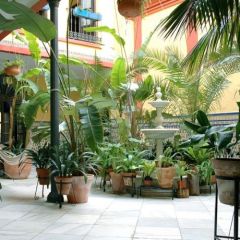 Patio van hotel Ferdinand Colon