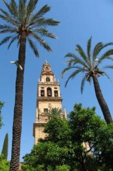 Mezquita