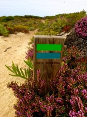 Rota Vicentina Alentejo