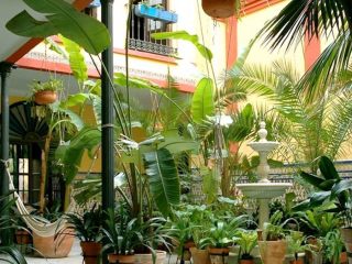 2.1 Kleinschalig en kleurrijk hotel in hartje Córdoba