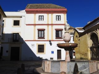 2.2. Appartementen aan de Plaza del Potro