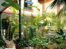 2.1 Kleinschalig en kleurrijk hotel in hartje Córdoba