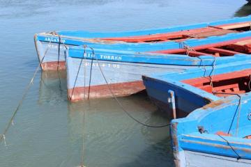 Bootjes in Cádiz