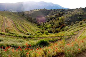 6. Priorat in mei