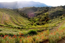 6. Priorat in mei