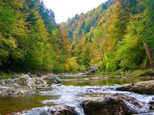 De Selva de Irati Navarra