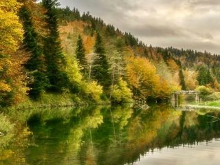 De Selva de Irati Navarra