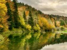De Selva de Irati Navarra