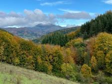De Selva de Irati Navarra
