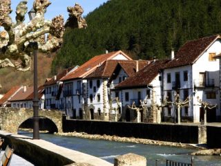 Ochagavia