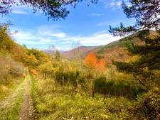 Wandelen in Navarra