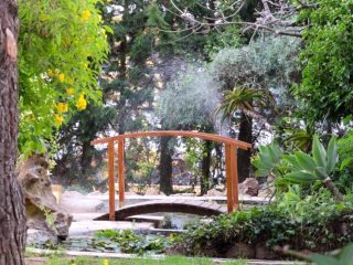 Tuin