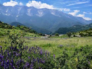 3. Pyreneeën