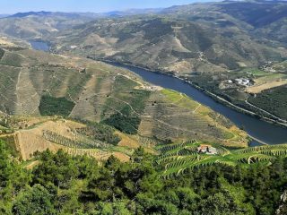 Douro