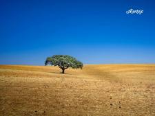Alentejo
