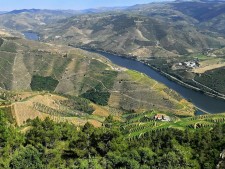 Douro