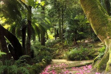 Parque Sintra-Cascais