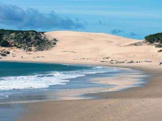 Bolonia
