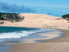 Bolonia