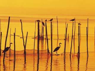 La Albufera bij Valencia