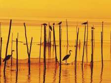 La Albufera bij Valencia