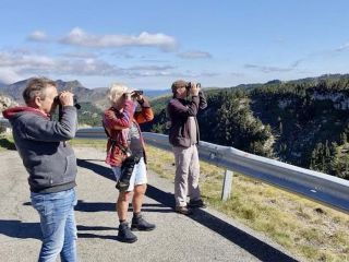 Birdwatchen met lokale gids Gorka Gorospe
