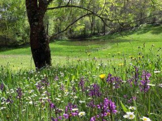 Het Montesinho Natuurpark