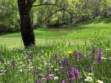Het Montesinho Natuurpark
