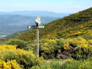 Valle de Jerte