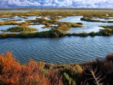 Ria Formosa Natuurpark