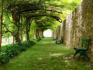Tuin