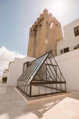 9 . Dakterras