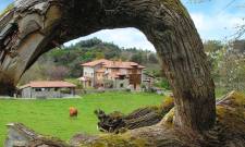 Casona Celorio