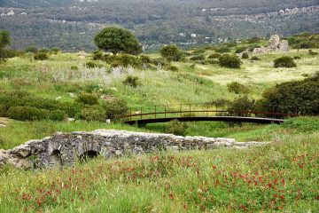 Lente omgeving Avila