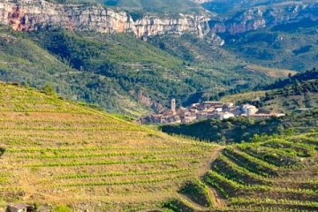 Dorpje in de Priorat