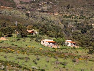 De Finca