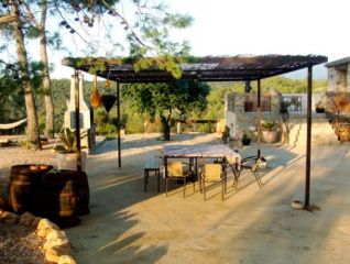 Terras