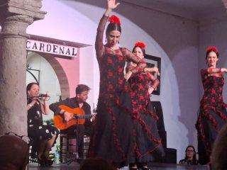 Flamenco tablao el Cardenal