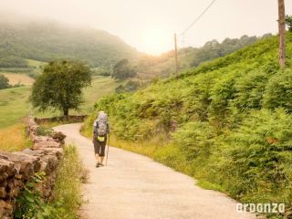 Camino de Santiago