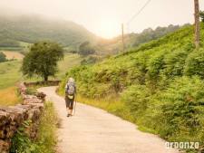 Camino de Santiago