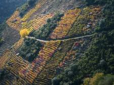 Ribeira Sacra