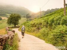 Camino de Santiago