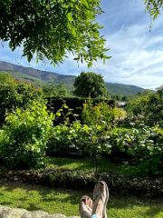 De tuin van ons hotel